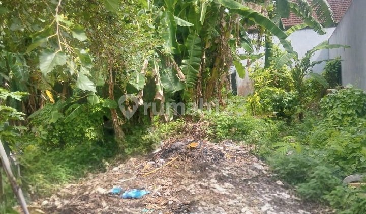 Forsale Land 2 Are In Dalung