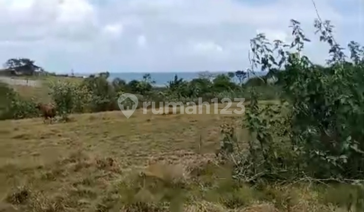 Forsale Land In Beraban Nuanu Area Near Luna Beach Club And Nyanyi Beach