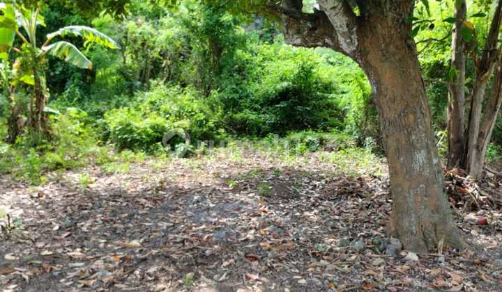 Leasehold Land 4 Are In Uluwatu Leasehold Land 4 Are In Uluwatu