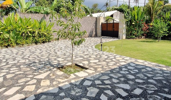 Dijual Villa 3 Kamar Luas Tanah 15 Are Di Lovina Dijual Villa 3 Kamar Luas Tanah 15 Are Di Lovina