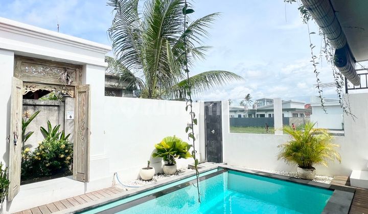 Yearly Rent Villa 2 Bedrooms In Cemagi With Rooftop Rice Field View