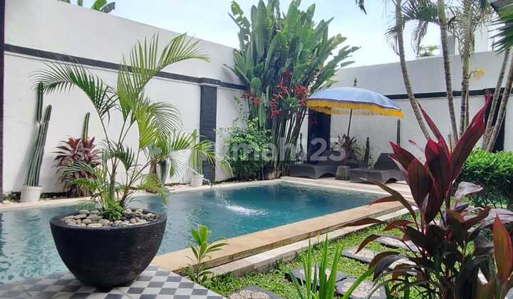 For Rent & Forsale Villa 5 Br In Pererenan Near Beach For Rent & Forsale Villa 5 Br In Pererenan Near Beach