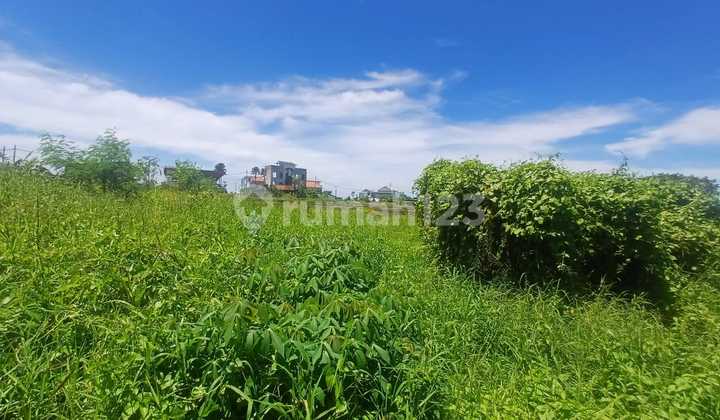 Forsale Land 2,13 Are In Cemagi Umalalang Pink Zona Forsale Land 2,13 Are In Cemagi Umalalang Pink Zona
