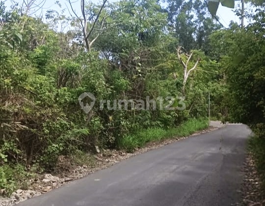 Freehold Land In Pecatu Padang-padang 20 Are Freehold Land In Pecatu Padang-padang 20 Are