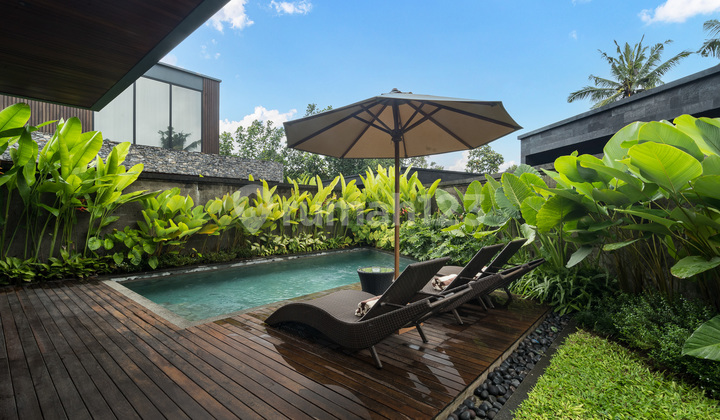 Yearly Rent & Leasehold 2 Br Luxury Villa In Ubud Jungle View