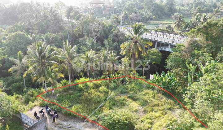 For Sale Land In Gianyar Riverside Ideal For Investment