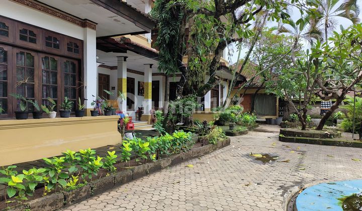 Kost 20 Unit Plus 2 Rumah Area Kuta Dekat Airport Beli Tanah Bonus Kos Masih Operasional Kost 20 Unit Plus 2 Rumah Area Kuta Dekat Airport Beli Tanah Bonus Kos Masih Operasional