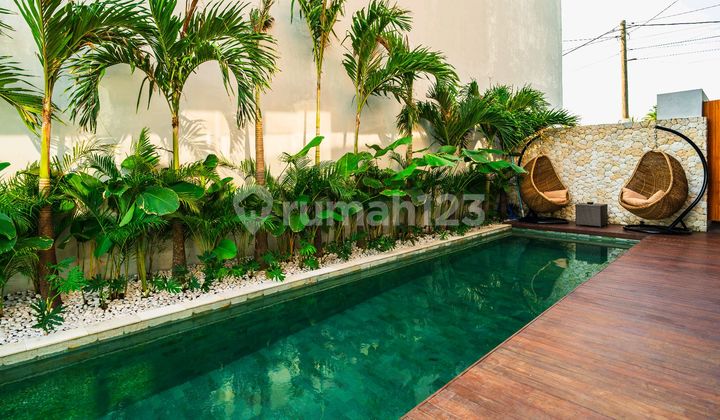 For Rent New Villa 2 Bedrooms In Kaba-kaba Rice Field View