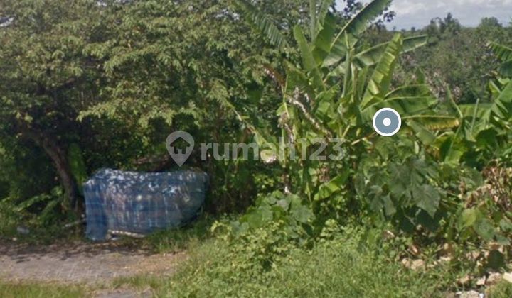 Forsale Land 2,13 Are In Cemagi Near Beach Pink Zona