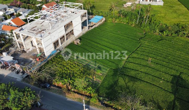 Leasehold Land 20 Are In Munggu Near Seseh Beach