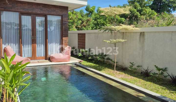 Villa 3 Br Area Di Sanur 