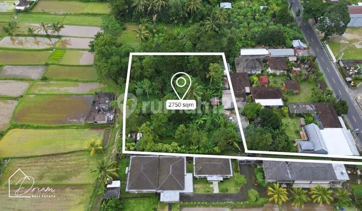 Forsale Land In Bedugul Area Premium Location Forsale Land In Bedugul Area Premium Location