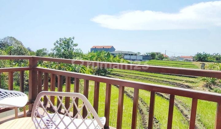 Monthly Rent Villa 2 Br In Babakan Canggu Rice Field View