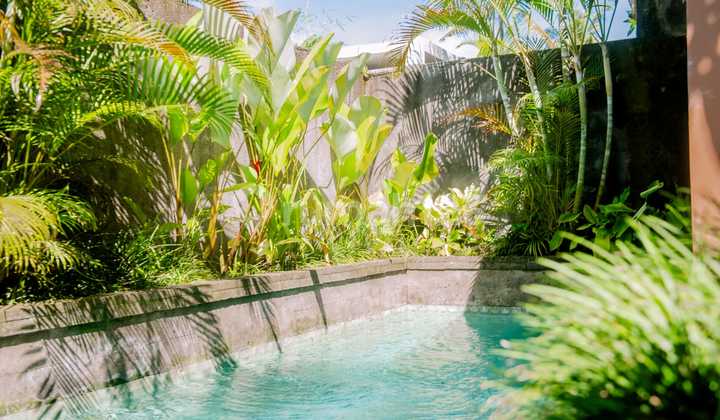 Villa 1 Bedroom in Ubud with Private Pool and Kitchen