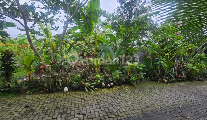 Freehold Land 3.2 Are In Padonan,canggu Yellow Zona Freehold Land 3.2 Are In Padonan,canggu Yellow Zona