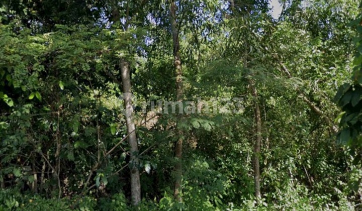 Leasehold Land In Bingin Ocean View Yellow Zona