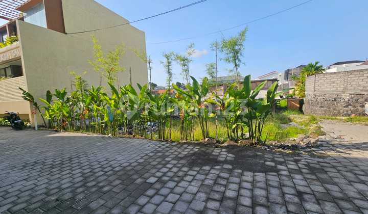 Forsale Land In Babakan Canggu 1.67 Are Yellow Zona Forsale Land In Babakan Canggu 1.67 Are Yellow Zona