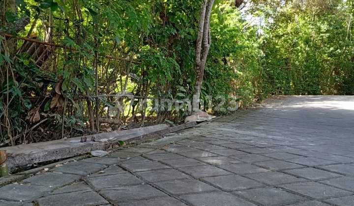 Leasehold Land 6 Are In Pecatu 