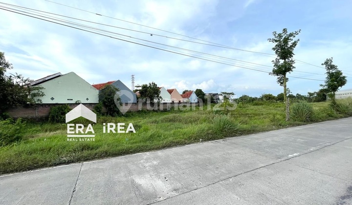 Tanah Klaten Dekat Exit Tol Klaten Tanah Klaten Dekat Exit Tol Klaten