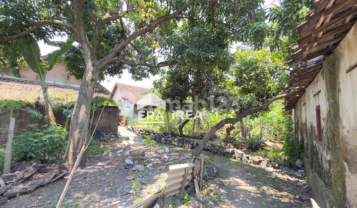 Ruang Usaha Bonus Tanah Dijual Dekat UMS kartasura Solo