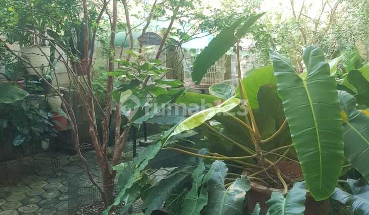 Rumah Bagus 2 Lantai di Cluster Komp Prima Indah Ciputat, Tangerang Selatan 2