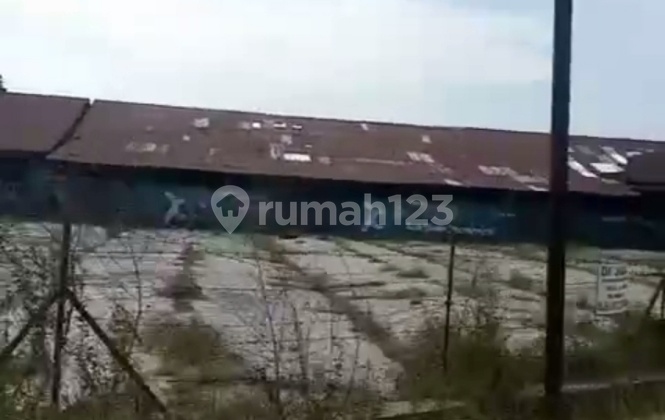 For Sale Rice Mill Warehouse and Rice Fields Land