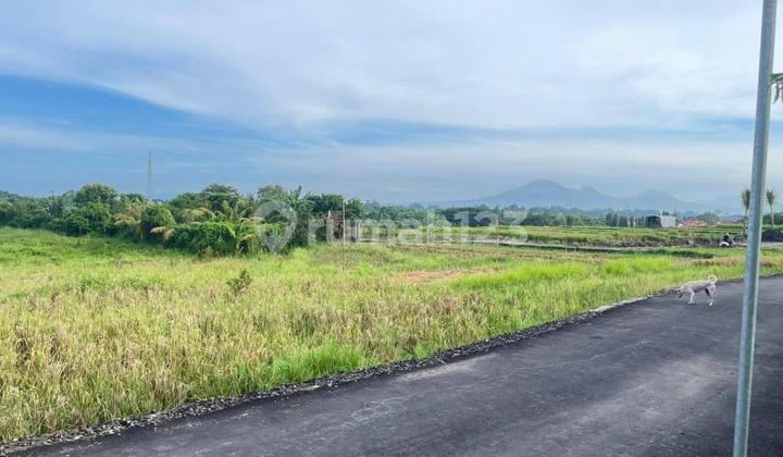 Land Munggu 550 Meter Square By Local Property Team Land Munggu 550 Meter Square By Local Property Team