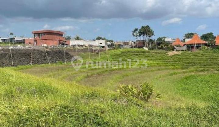 Land Kaba Kaba 500 Meter Square By Local Property Team