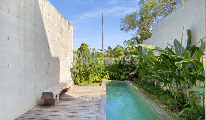 Designer Berawa Villa By Local Property Team