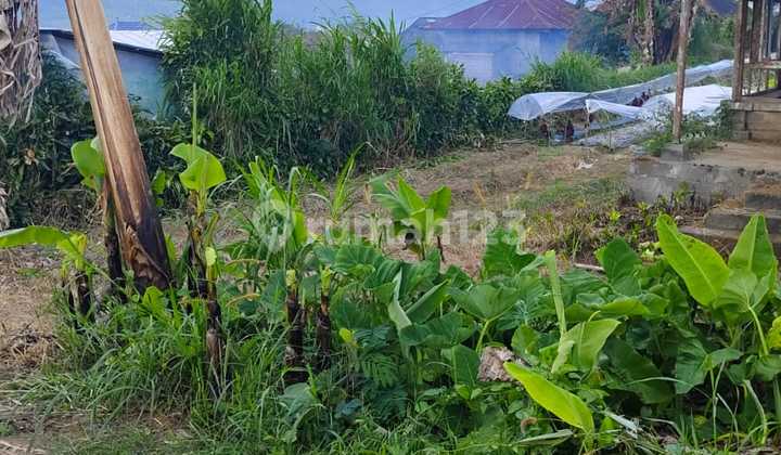 Tanah Lokasi Strategis View Danau dan Gunung