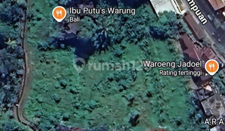 Premium land with an exotic view of the Campuan Temple forest in Ubud, Gianyar, Bali. Premium land with an exotic view of the Campuan Temple forest in Ubud, Gianyar, Bali.