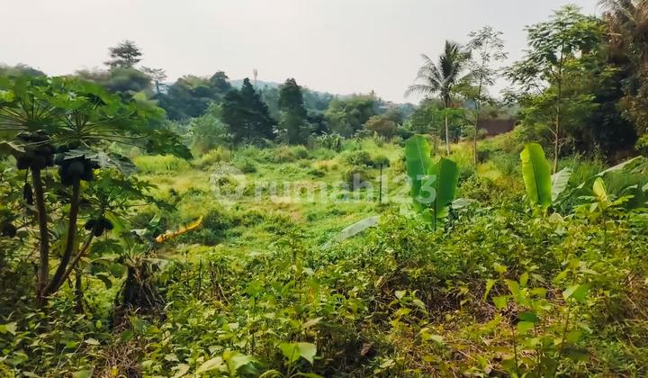 [SALE] Fast Sale: 5.4 Hectare Land with Bonus Jati Wood Villa &amp; Productive Garden in Ciampea, Bogor
