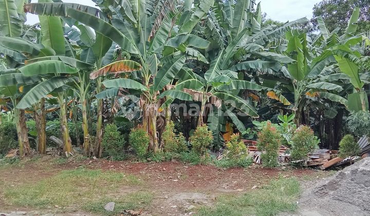 Dua Tnah Kapling Siap Bangun dengan Harga Spesial Dalam Kmplek di Bukit Cinere Dua Tnah Kapling Siap Bangun dengan Harga Spesial Dalam Kmplek di Bukit Cinere