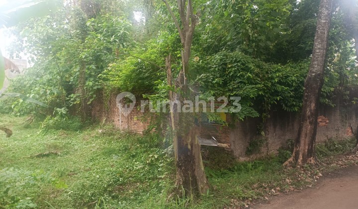 Tanah Kapling Siap Bangun Dalam Komplek Dprd Dki.cibubur Kcm Ciracas Jakarta Timur Tanah Kapling Siap Bangun Dalam Komplek Dprd Dki.cibubur Kcm Ciracas Jakarta Timur