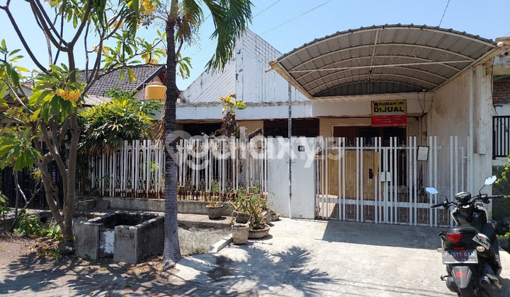 Rumah Ngagel Jaya Tengah Surabaya Rumah Ngagel Jaya Tengah Surabaya