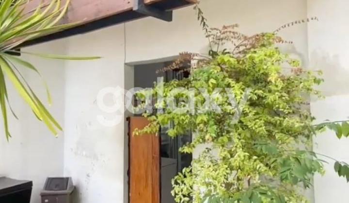 Rumah Klasik 1 Lantai Daerah Raya Darmo Surabaya Pusat 2