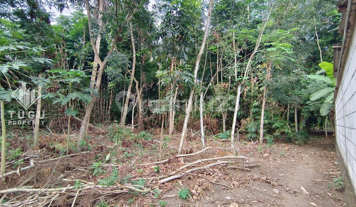 Tanah Dijual Purwodadi Purworejo Jogja, dekat Tempat Wisata Pantai Dewaruci, dekat Akses Bandara YIA. Tanah Dijual Purwodadi Purworejo Jogja, dekat Tempat Wisata Pantai Dewaruci, dekat Akses Bandara YIA.