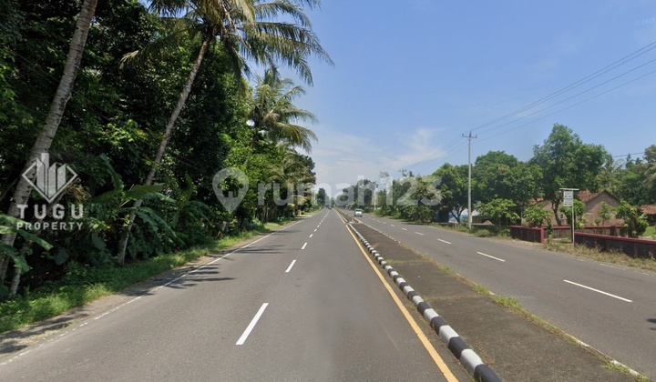 Tanah Dijual Purwodadi Purworejo Jogja, dekat Tempat Wisata Pantai Dewaruci, dekat Akses Bandara YIA. Tanah Dijual Purwodadi Purworejo Jogja, dekat Tempat Wisata Pantai Dewaruci, dekat Akses Bandara YIA.