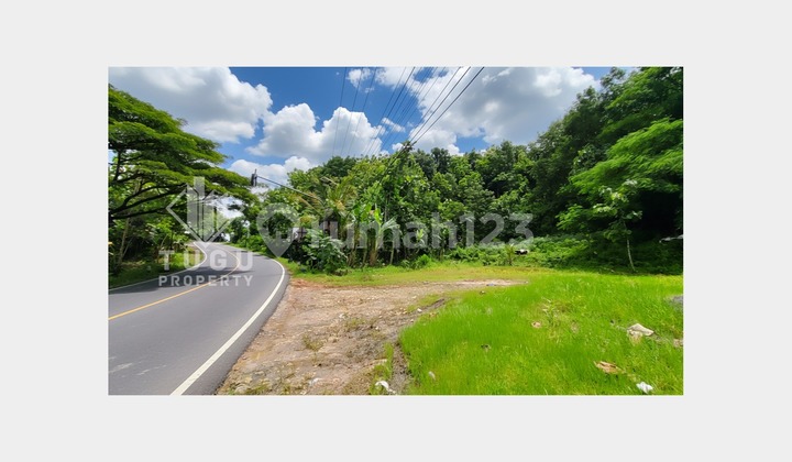 Tanah Dijual Jogja Prambanan Wonosari, Dekat Heha Sky View, Pictniq Land, Bukit Bintang, De Mangol View, The Manglung View & Resto