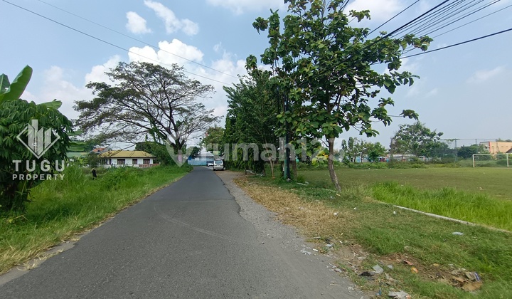 Tanah 1 Hektar Disewakan Jalan Pasopati Bantul Jogja, dekat Kampus UAD, Terminal Giwangan
