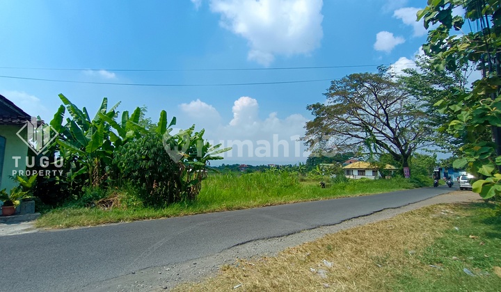 Tanah 1 Hektar Disewakan Jalan Pasopati Bantul Jogja, dekat Kampus UAD, Terminal Giwangan