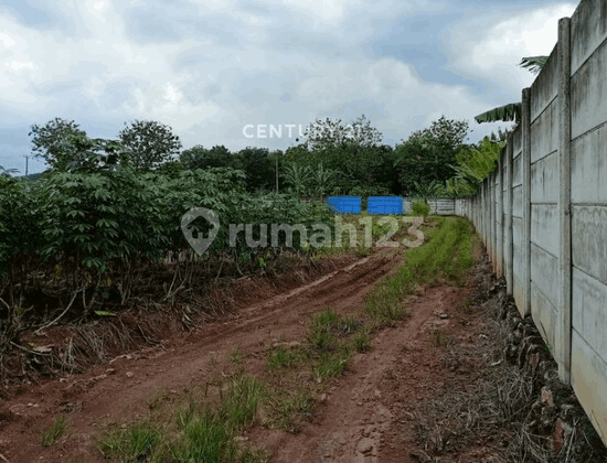 Tanah Strategis Siap di Bangun di Prov Lampung Tanah Strategis Siap di Bangun di Prov Lampung
