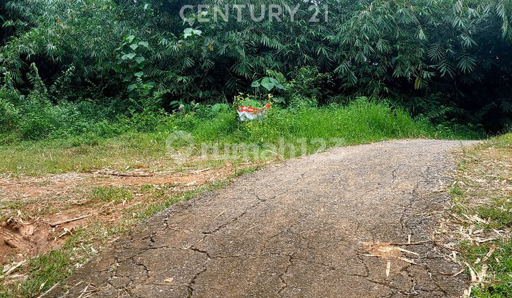 Hill Land for Sale Suitable for Investment