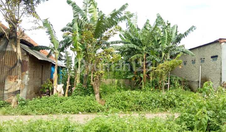 Tanah Murah Pasar Kemis Shm Cocok Utk Gudang Dll