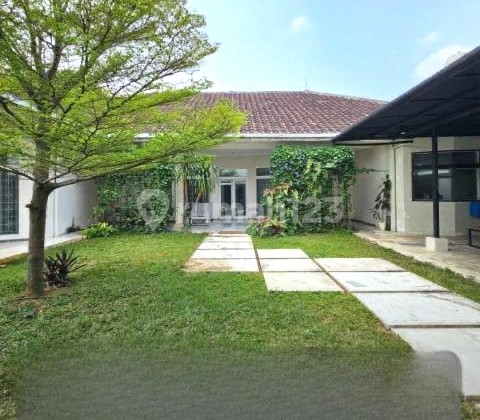 Rumah Mewah dan Luas dengan Kolam Renang di Kebayoran Baru Rumah Mewah dan Luas dengan Kolam Renang di Kebayoran Baru