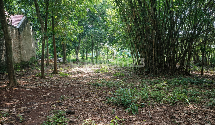 Bekasi Land Plot Near Industrial Area Suitable for Housing