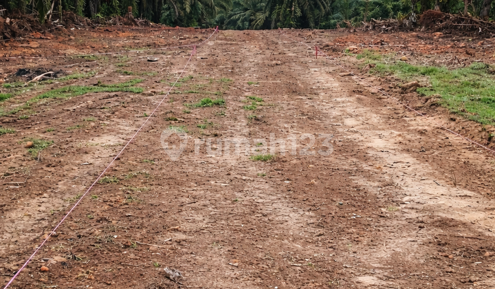 Land Plot in East Kutai Suitable for Residential Homes