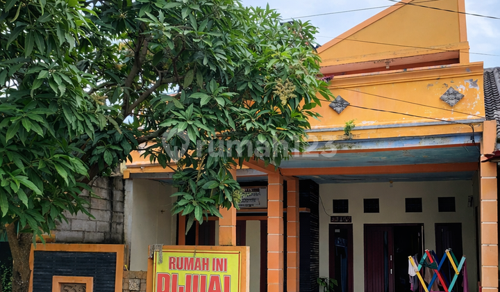 Cheap 1-Story House in Serang Banten, Very Close to Mall and Hospital Cheap 1-Story House in Serang Banten, Very Close to Mall and Hospital