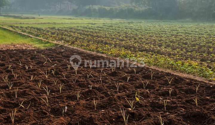 Vacant Land in Ranca Bungur Suitable for Residential or Villa Development