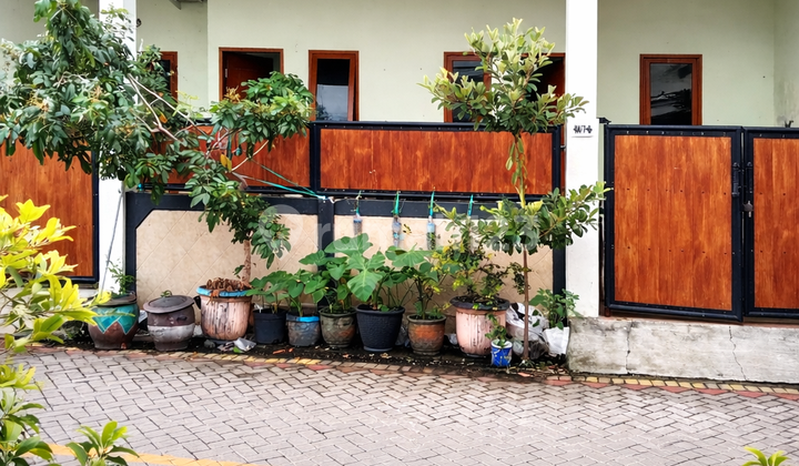 Rumah Murah di Kawangan Gunung Anyar Surabaya, Dekat dengan Universitas dan Juga dengan Wisata Mangrove